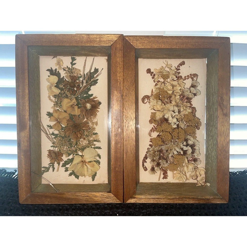 Vintage Dried Flowers Petals In Shadow Box Wood Framed Wall Art Set of 2